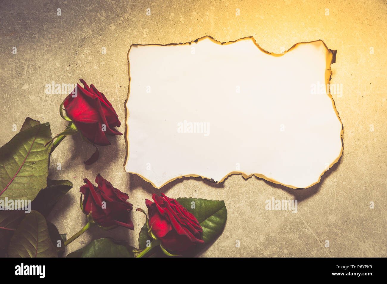 Rote Rosen und eine leere Einladungskarte. Rosen und vintage Papier Stockfoto
