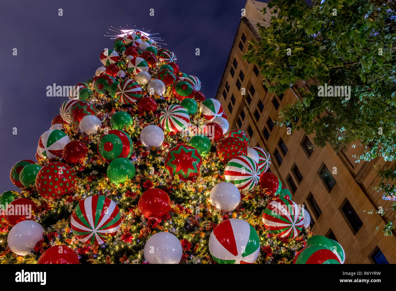 Weihnachtsbaum in Sydneys Martin Place Stockfoto