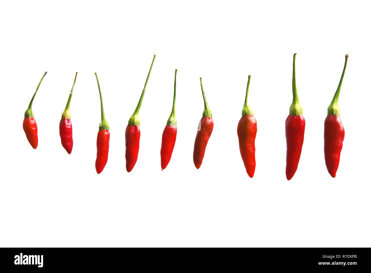 Kleine Chili schließen bis auf weißem Hintergrund. Food Ingredients. Frisches Gemüse und Gewürze Stockfoto