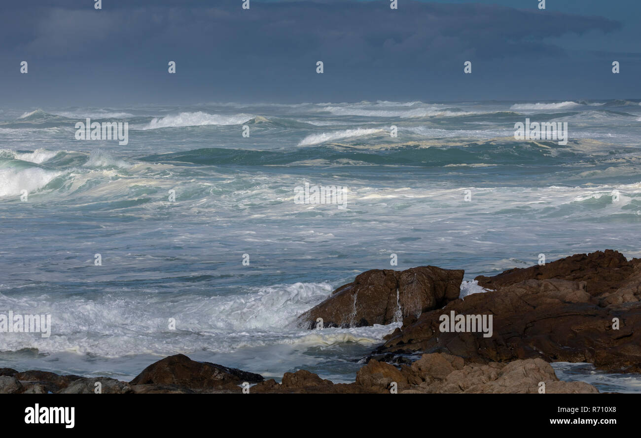 Atlantic Surf- und Leistungsschalter vor der Küste der Postberg Reserve, West Coast National Park, Südafrika. Stockfoto