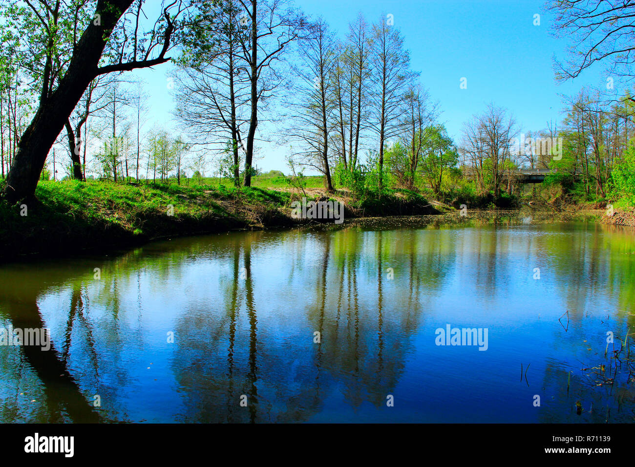 Landschaft mit dem Fluss. Bäume und Sträucher sind in Wasser Stockfoto