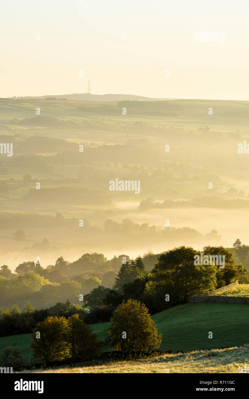Fernverkehr, nebelig, am frühen Morgen Blick auf malerische ländliche Wharfedale, das Tal im Nebel oder Nebel gehüllt - in der Nähe von Skipton, West Yorkshire, England, UK. Stockfoto