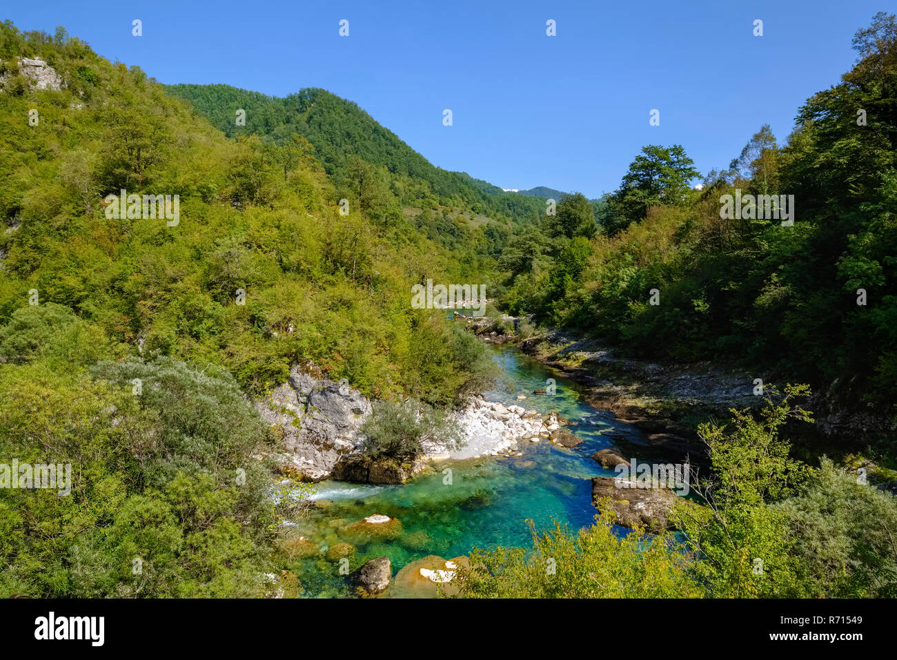 Die Schlucht des Flusses Mrtvica, Mrtvica, nahe Kolasin, Montenegro Stockfoto