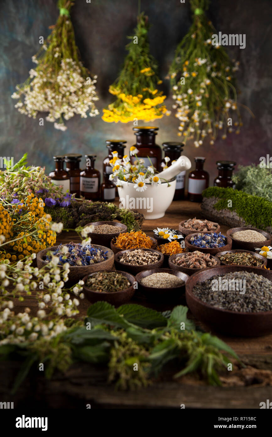 Kräuter, Beeren und Blumen mit Mörtel, Holz Tisch Hintergrund Stockfoto