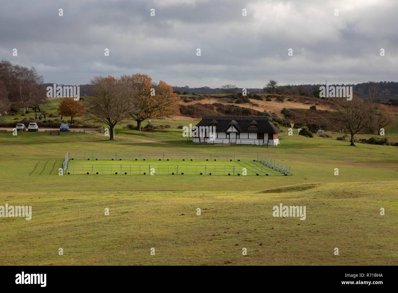 Cricketplatz Schutz vor Ponys in Lyndhurst, New Forest Stockfoto