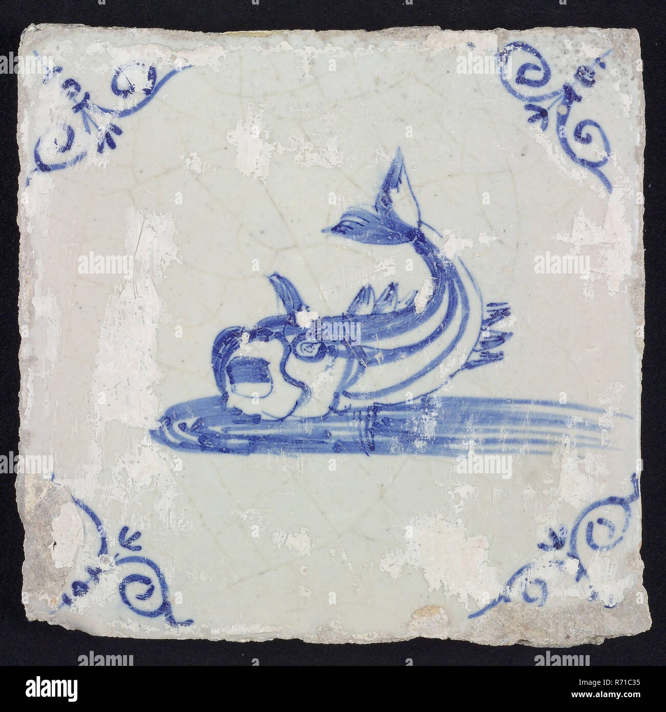 Tier Fliesen, unbekannte Fische im Wasser auf der linken Seite mit offenem Schnabel und Ringelschwanz, Blau auf Weiß, Ecke Motiv gelenkt 'sox Kopf, wandfliese Kachel skulptur keramik Steingut glasiert, gebackene 2 x Glasierte lackiert Stockfoto