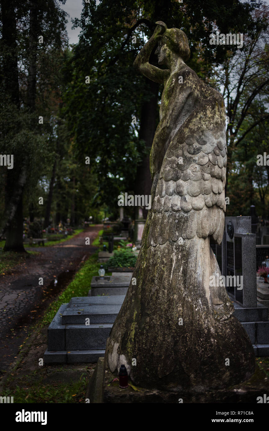 Groß, schlank Engel Statue mit eingeklappten Flügeln im Alten Friedhof, Friedhof Rakowicki, Krakau, Polen Stockfoto