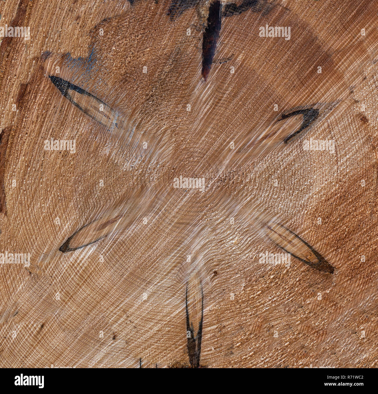 Holzstruktur mit sternförmigen Muster Stockfoto