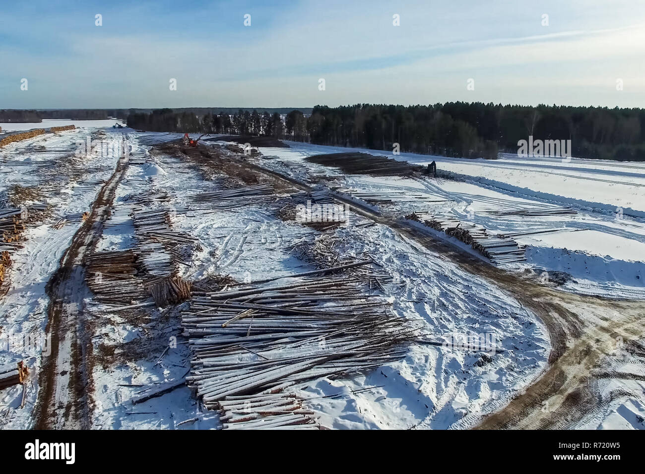 Die gefällten Bäume liegen unter freiem Himmel. Die Entwaldung in Russland. Die Zerstörung der Wälder in Sibirien. Ernte von Holz Stockfoto