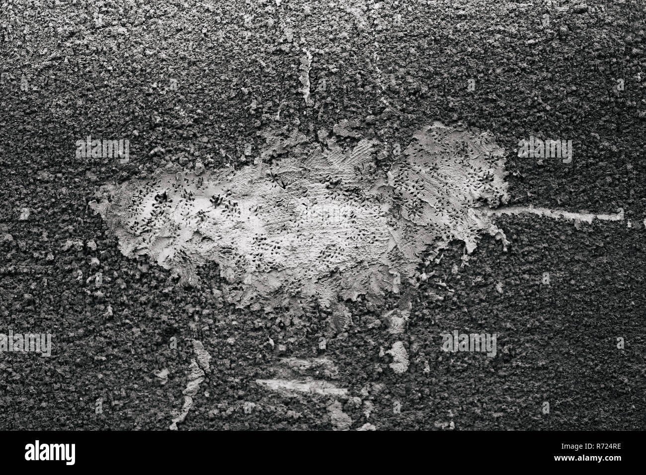 Schwarz und Weiß grunge Textur Fleck an der Wand. Stockfoto