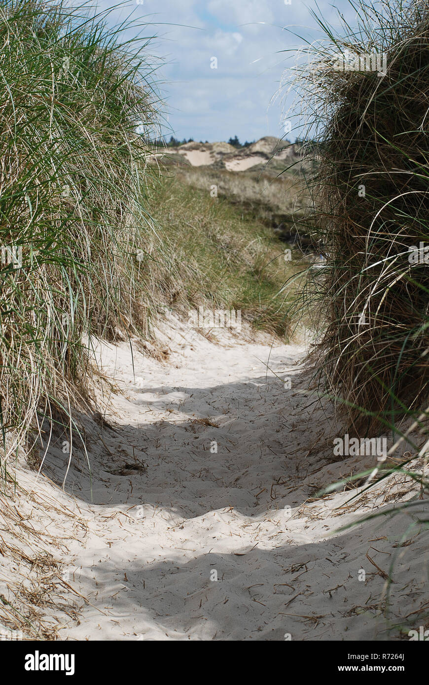 Landschaft auf Amrum, Deutschland. Amrum ist eine der Nordfriesischen Inseln an der deutschen Nordseeküste, südlich von Sylt und westlich von Foehr Stockfoto