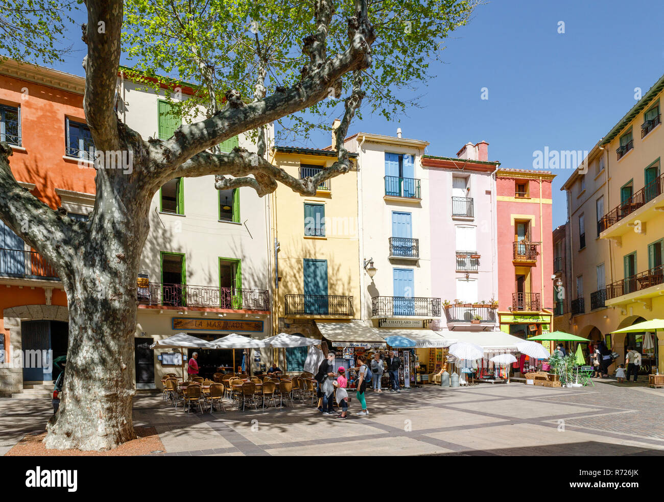 Frankreich, Pyrenees Orientales, Cote Vermeille, Collioure, Place du 18 Juin // Frankreich, Pyrénées-Orientales (66), Côte Vermeille, Collioure, place du 18 Ju Stockfoto