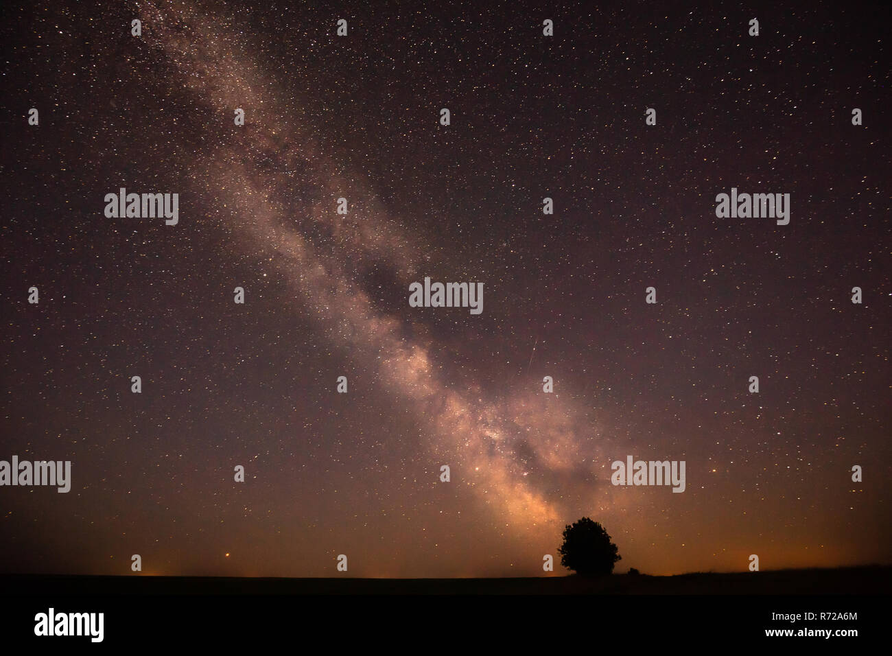 Nacht Sternenhimmel über einsamer Baum in der Wiese. Leuchtende Sterne und Holz im Sommer wiese landschaft Stockfoto