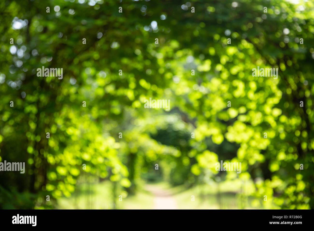 Verschwommen abstrakte Bokeh Boke natürlichen Hintergrund der Gehweg weg Lane durch die Pergola im Sommer Park. Stockfoto