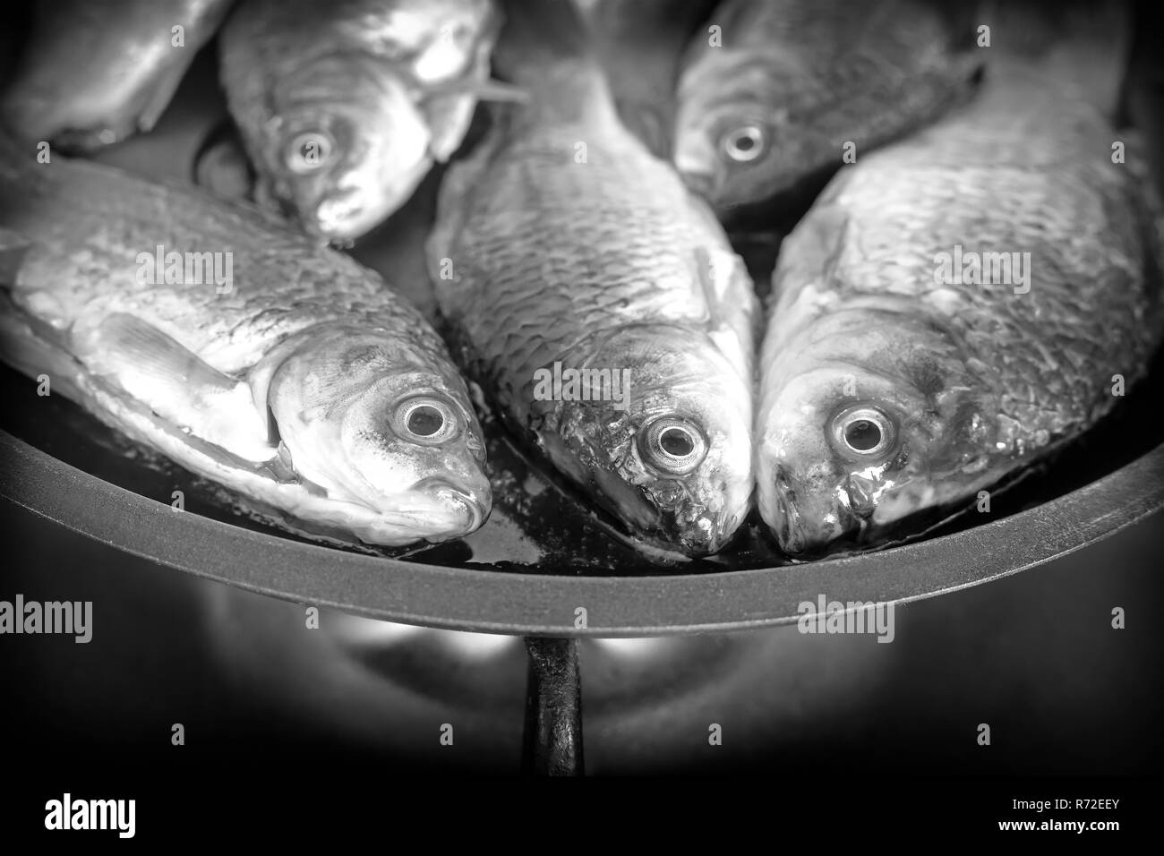 In einer Pfanne braten frische Fische. Schwarz-weiß-Bild. Stockfoto