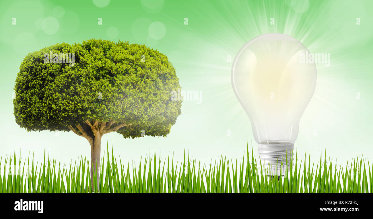 Weiße Lampe auf ein Feld im Freien, Ökologie Konzept der Einsparung elektrischer Energie Stockfoto