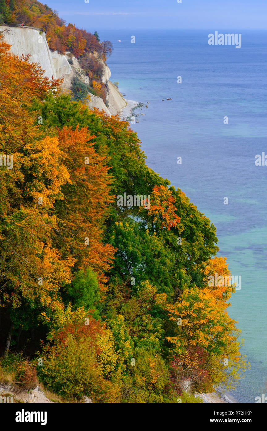 Buchenwald, Kreidefelsen, Nationalpark Jasmund, Ostsee, Rügen, Mecklenburg Vorpommern, Deutschland Stockfoto