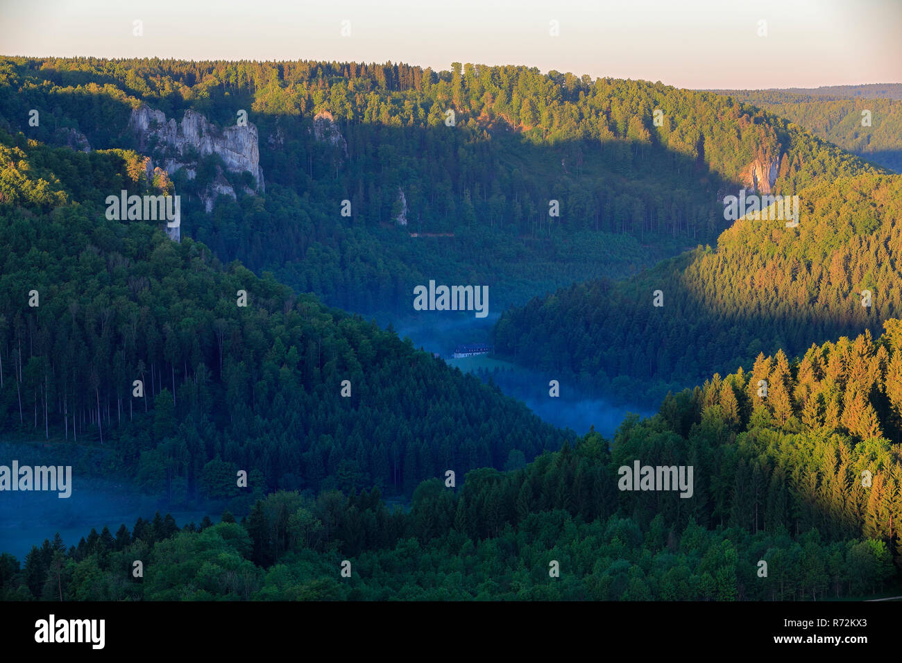 Donau, Eichfelsen, Irndorf, Donautal, Deutschland Stockfoto