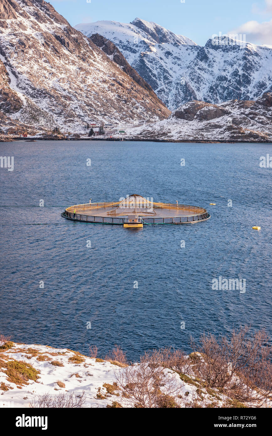 Lachszucht in norwegischen Fjord, Winterlandschaft, Lofoten, Norwegen. Bild vertikal Stockfoto