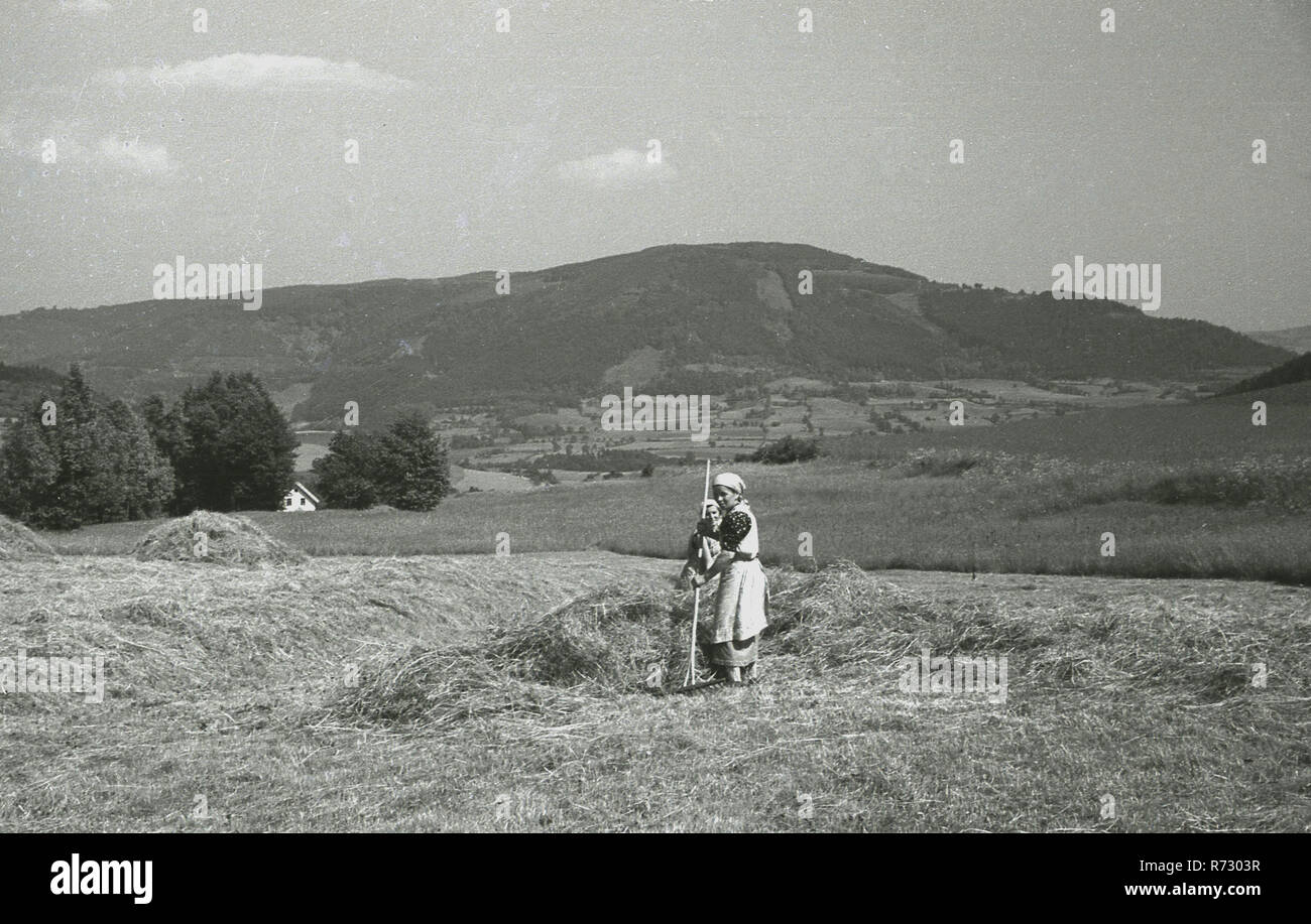 1930er Jahre, historische, weibliche Arbeitnehmer Clearing ein Feld von Heu im Sudentenland, Tschechoslowakei. Stockfoto