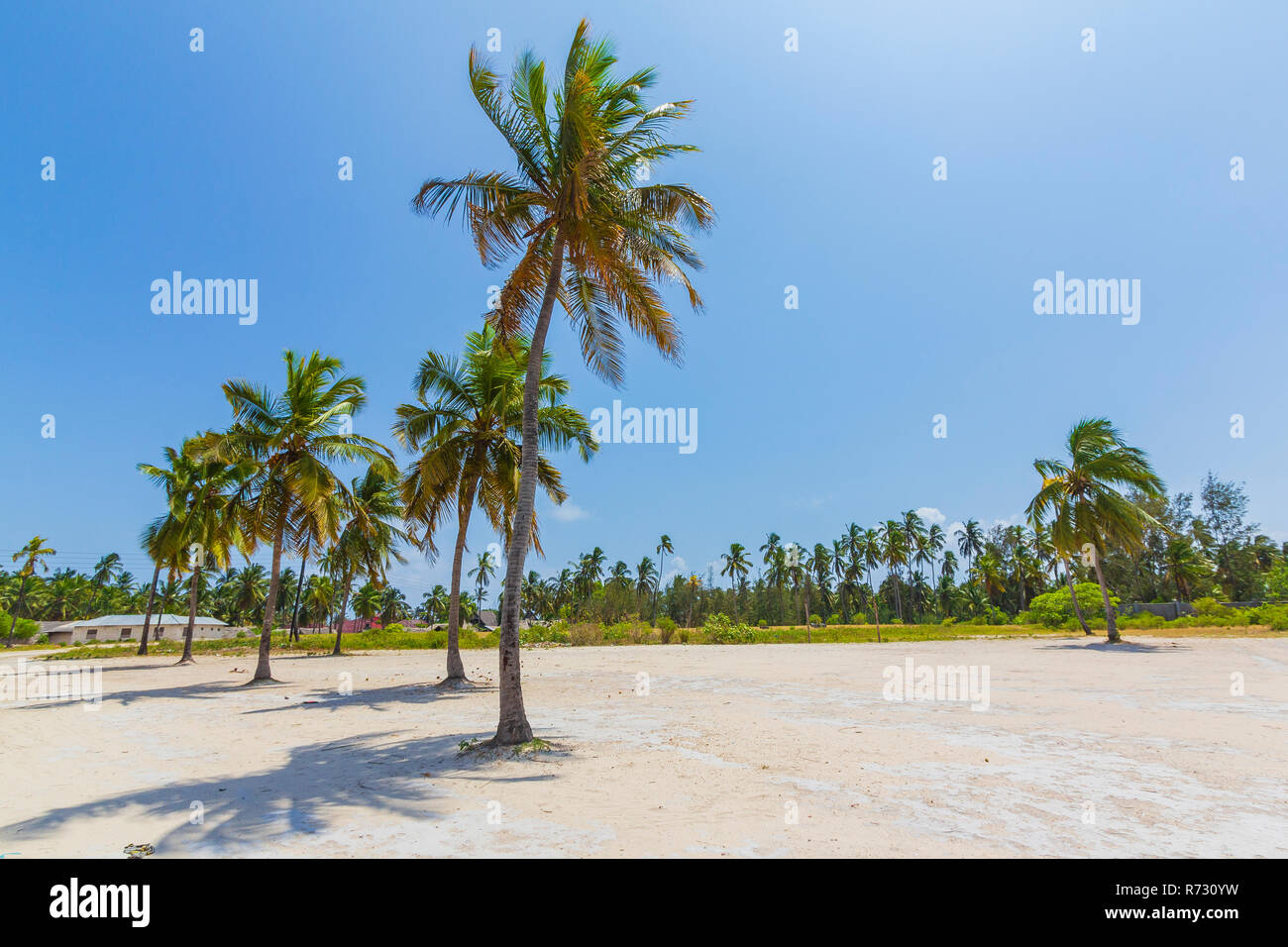 Attraktive tropische Outback Landschaft mit hohen Palmen im weißen Sand gegen einen klaren, blauen Himmel und ein kleines Dorf im Hintergrund Stockfoto