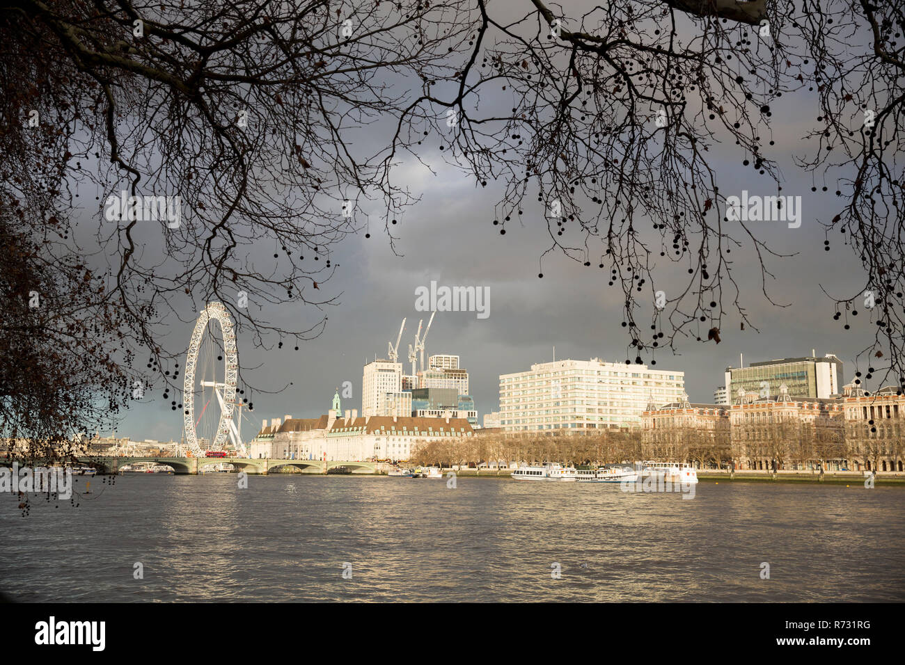 Ansicht der South Bank der Themse von Victoria Tower Gardens Stockfoto