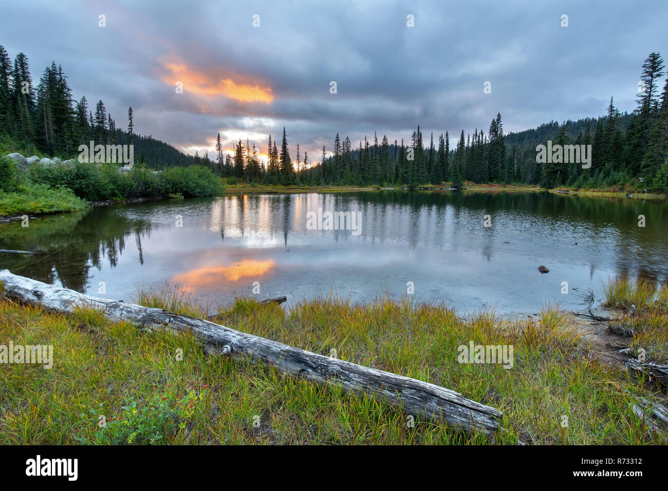 Reflexion Seen ist eine Sammlung von Seen im Mount Rainier National Park in Washington State Stockfoto
