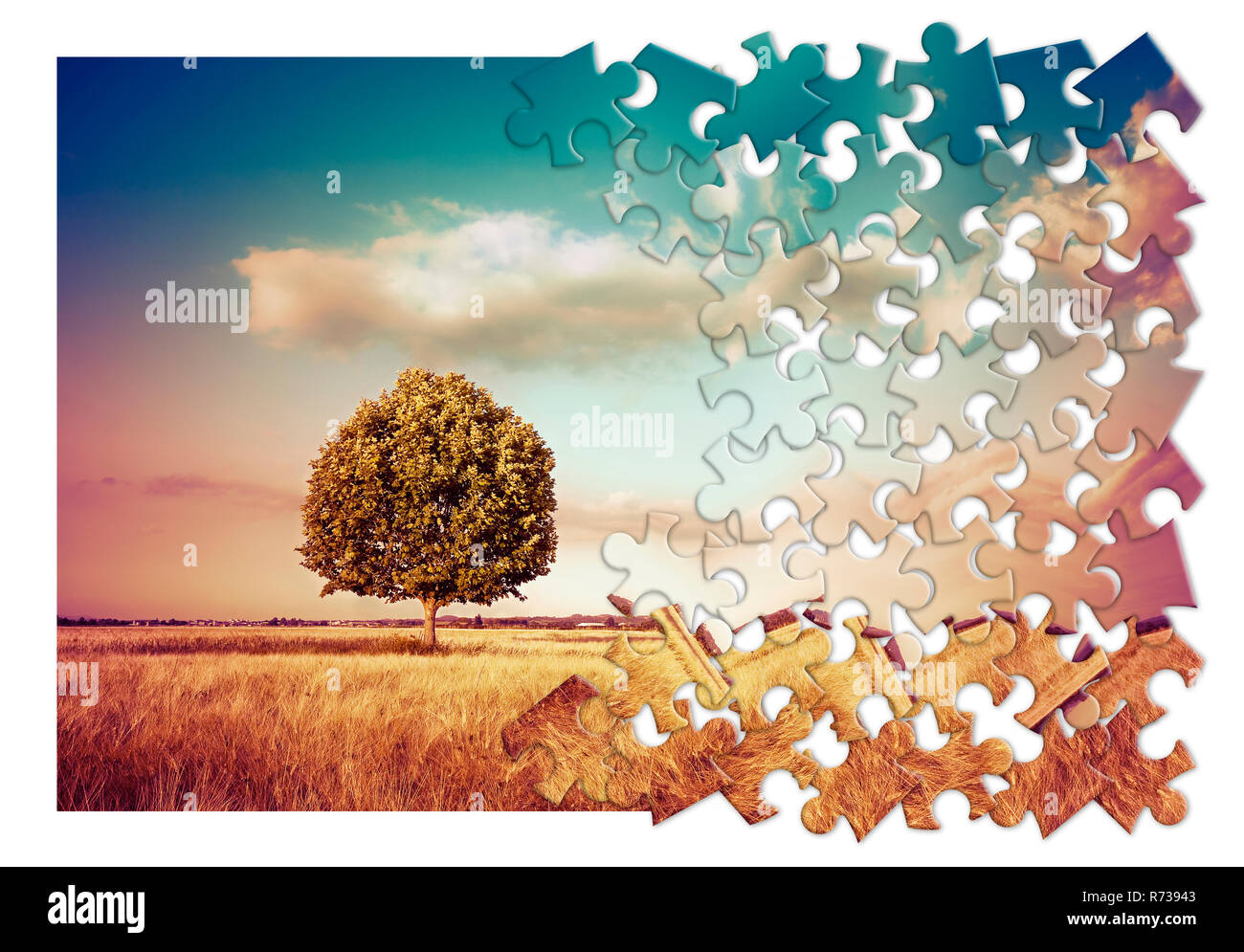 Isolierte Baum in einer ländlichen Szene in der Toskana (Italien) - Umweltschutz Konzept Bild im Puzzle Form Stockfoto