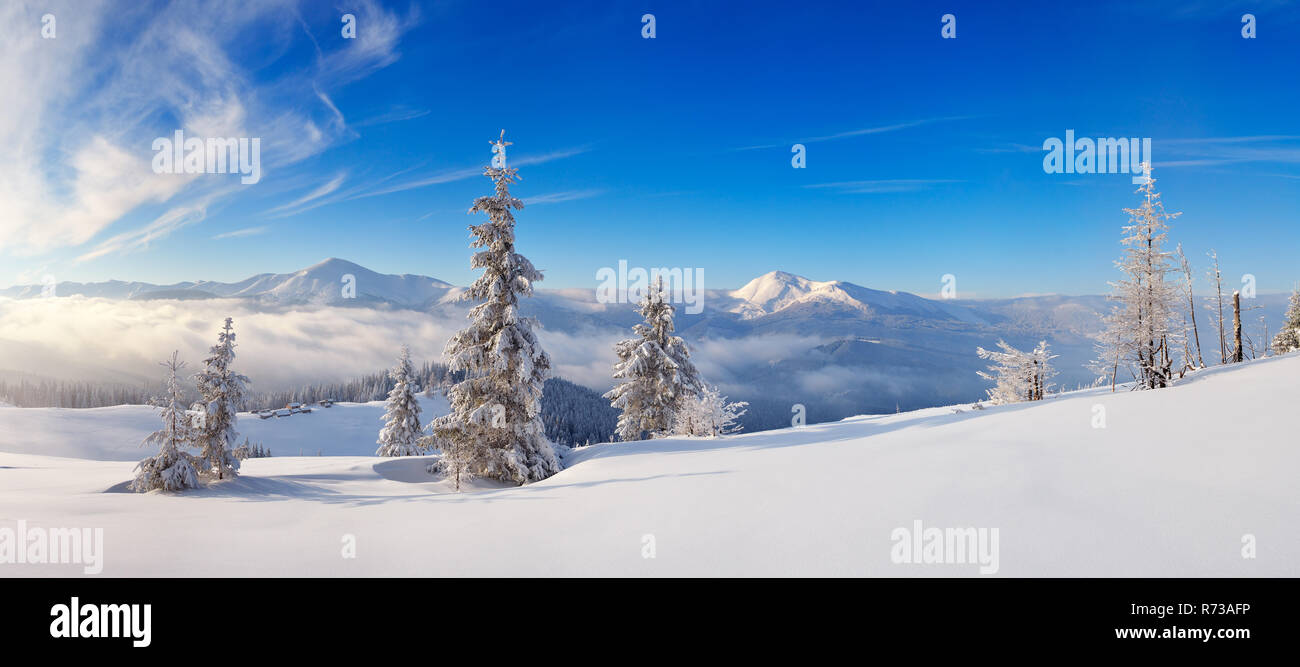 Landschaft Panorama von einem frostigen Tag in den Bergen. Ukraine, Karpaten, mit Blick auf die Bergkette Chornohora Stockfoto