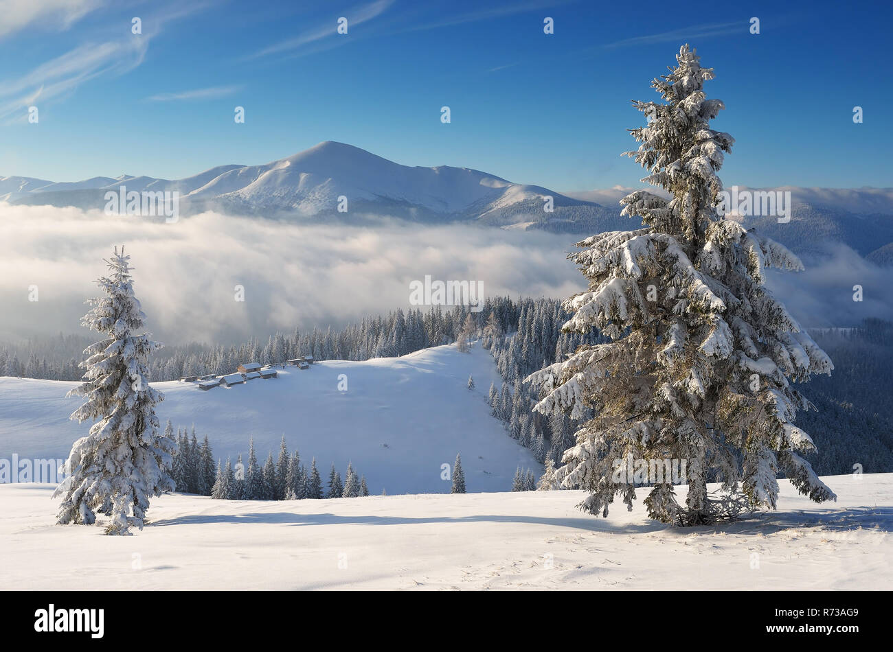 Winterlandschaft in den Bergen. Sonnige frostigen Morgen. Karpaten, Ukraine. Weihnachten anzeigen Stockfoto