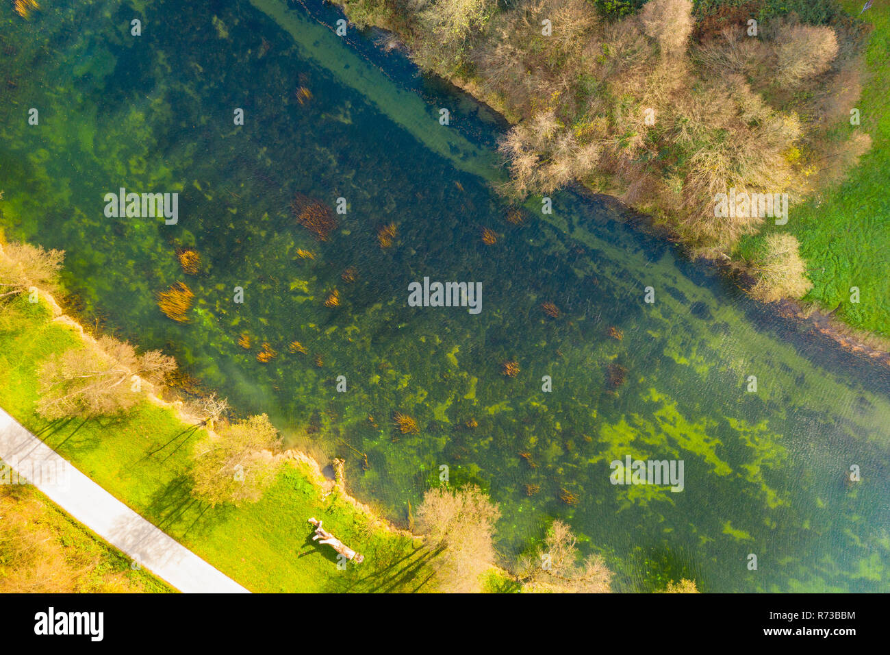 Kroatische Fluss Dobra aus der Luft, von oben nach unten Blick von Drone, Karlovac county, grüne Fläche mit klarem Wasser im Herbst, schöne Natur Stockfoto