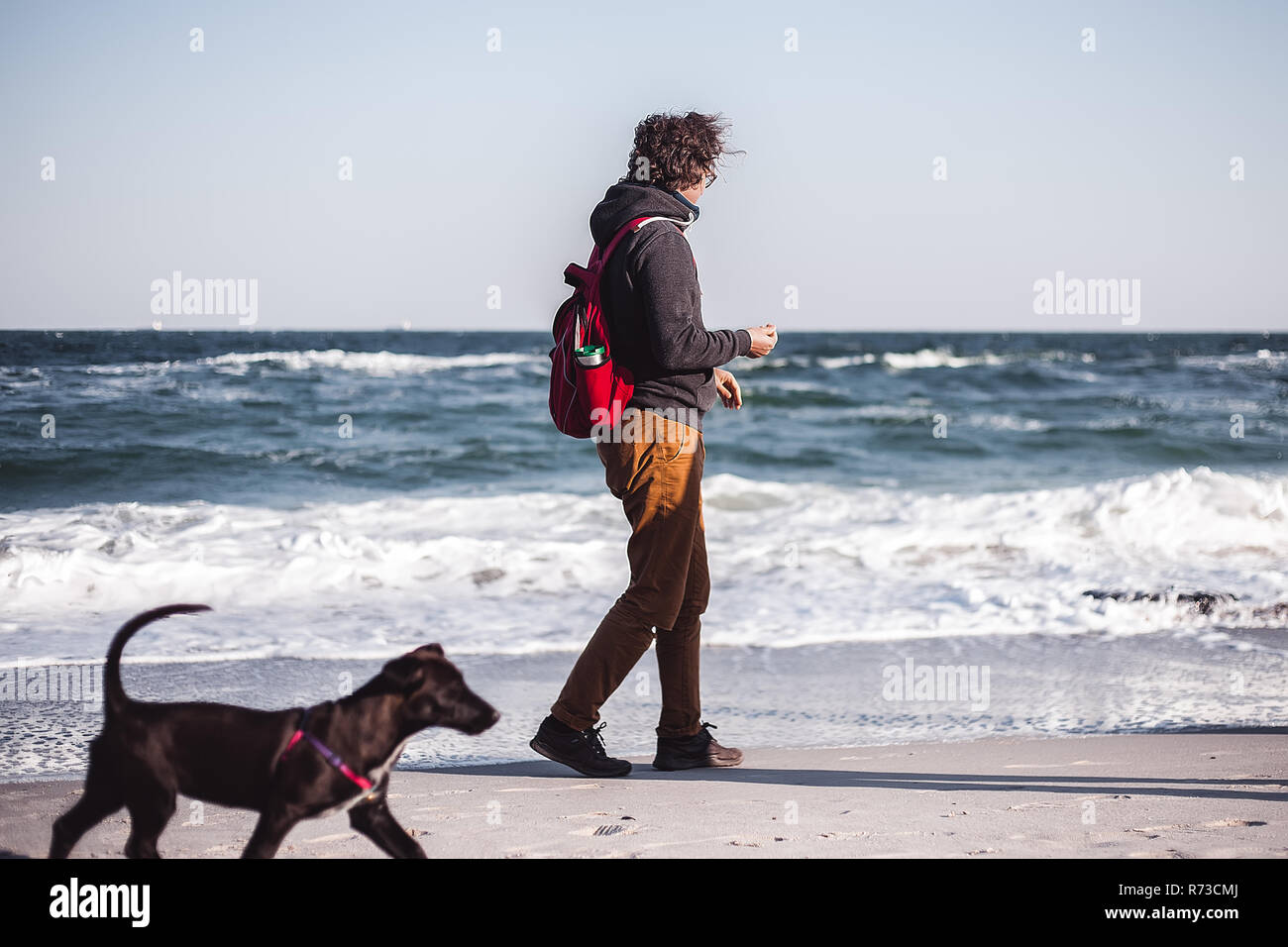 Mitte der erwachsenen Mann seinen Hund Strand, Odessa, Odeska Oblast, Ukraine Stockfoto