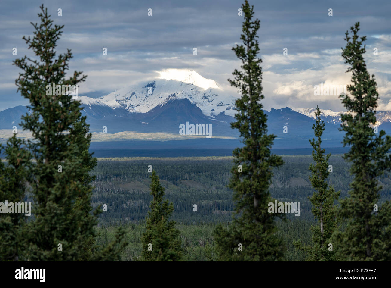 Montieren Sie die Trommel in den Wrangell St. Elias National Park von Copper Center Alaska gesehen Stockfoto