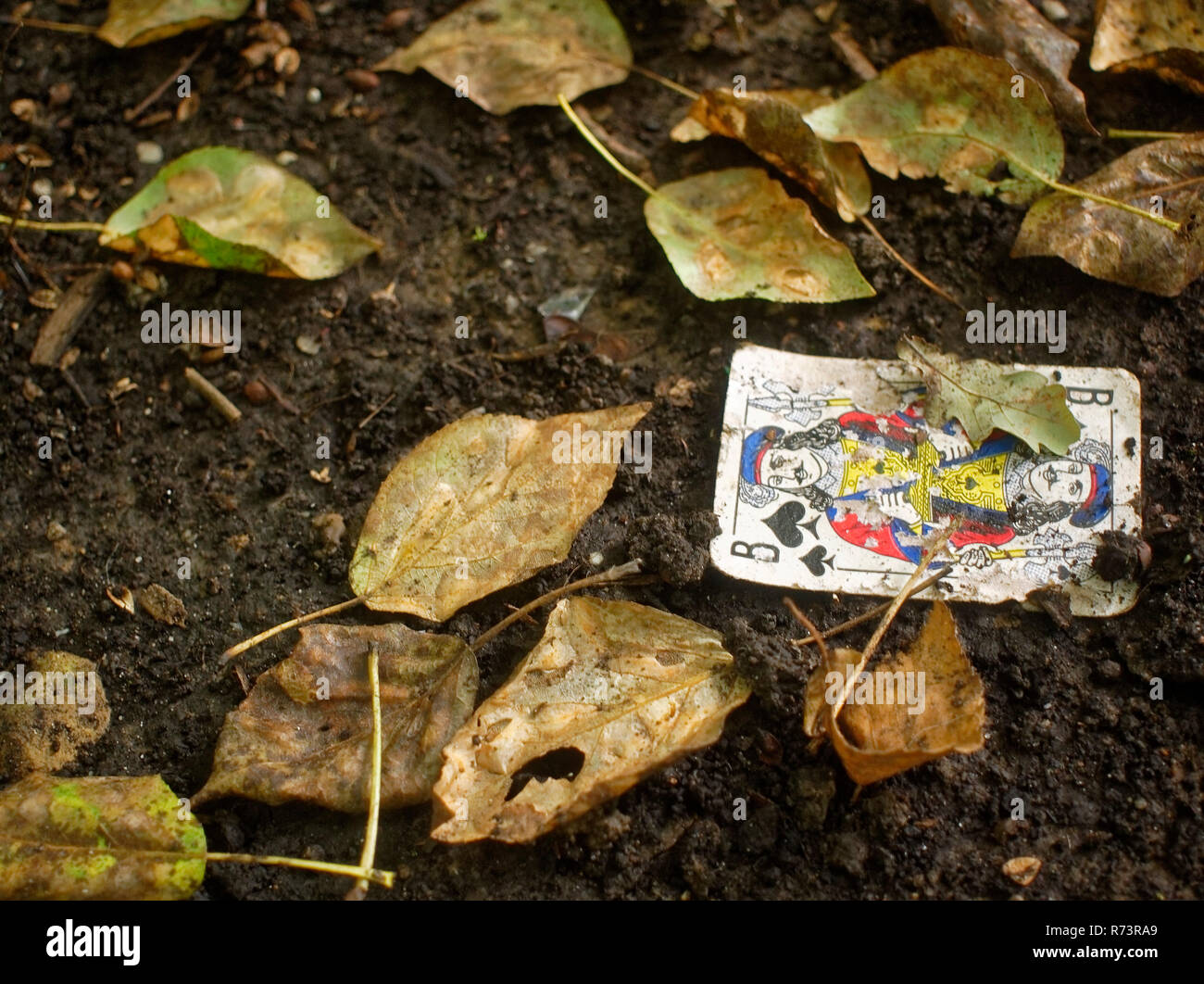 Playing Card im Schlamm auf dem Boden liegt, Moskau Stockfoto