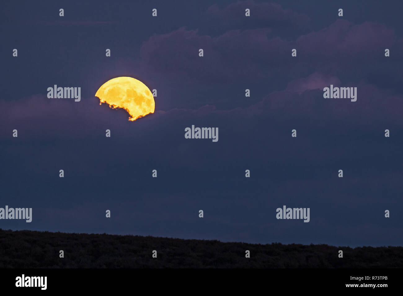 Harvest Moon Rising von hinter Wolken nur über dem Horizont. Stockfoto