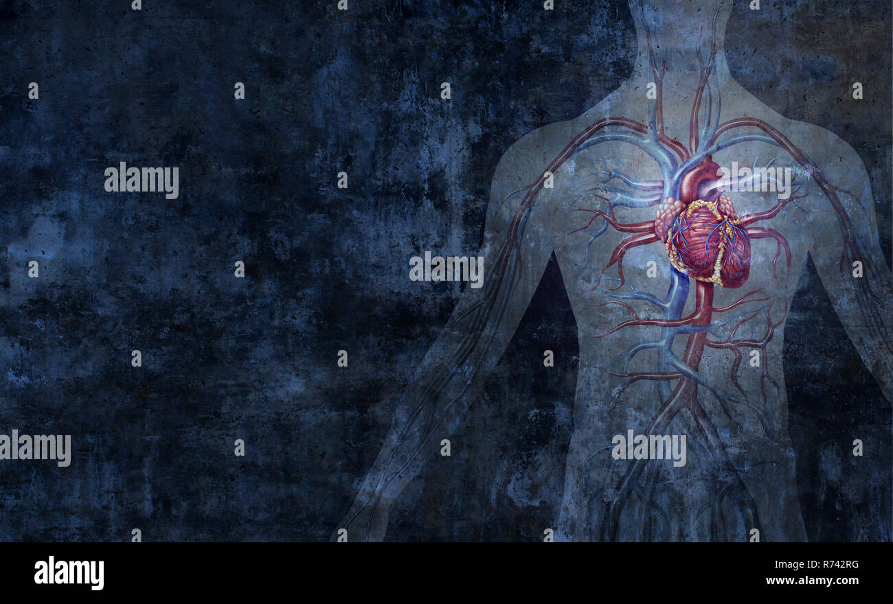Menschlichen Kreislaufsystem und Kardiologie arteriellen und venösen Körper Funktion abstrakt Hintergrund als ein menschliches Herz Funktion Symbol. Stockfoto