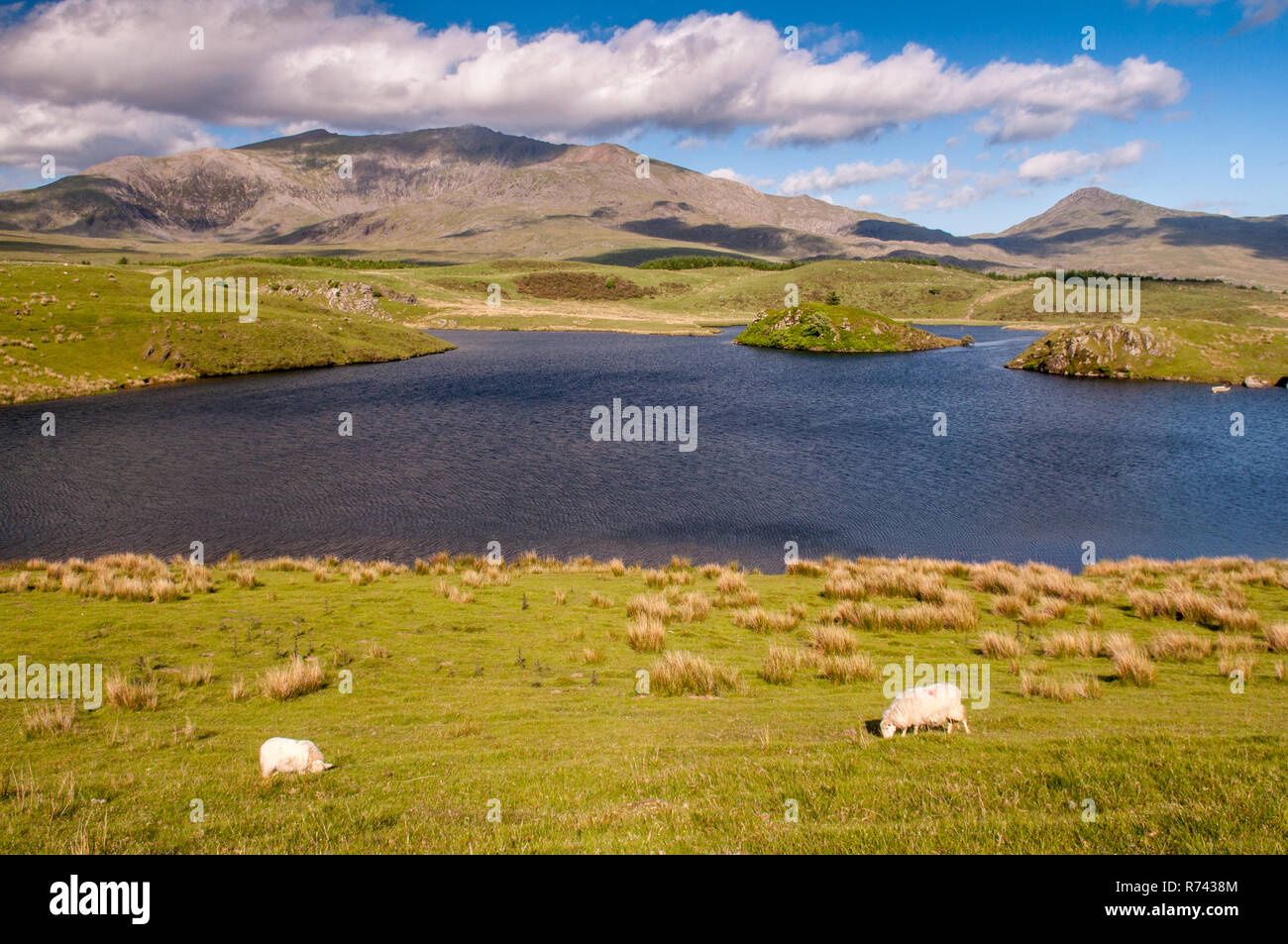Snowdon Mountain steigt von der Küste von Llyn y Dywarchen, einem kleinen See ar Rhyd-Ddu im Snowdonia National Park, North Wales. Stockfoto