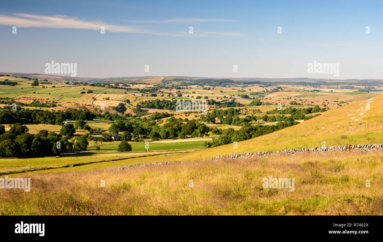 Ein Flickenteppich aus Feldern und Wäldern erstreckt sich auf den niedrigen Hügeln und Vallerys des Derbyshire Dales ab Chelmorton Niedrig in England's P Stockfoto