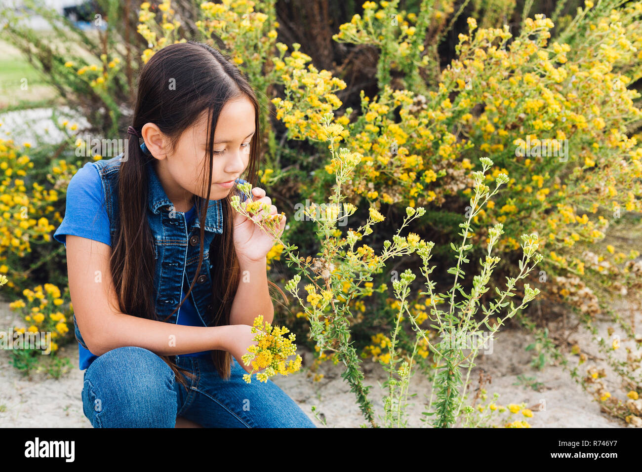 Mädchen kniend zu riechen Anlage Stockfoto