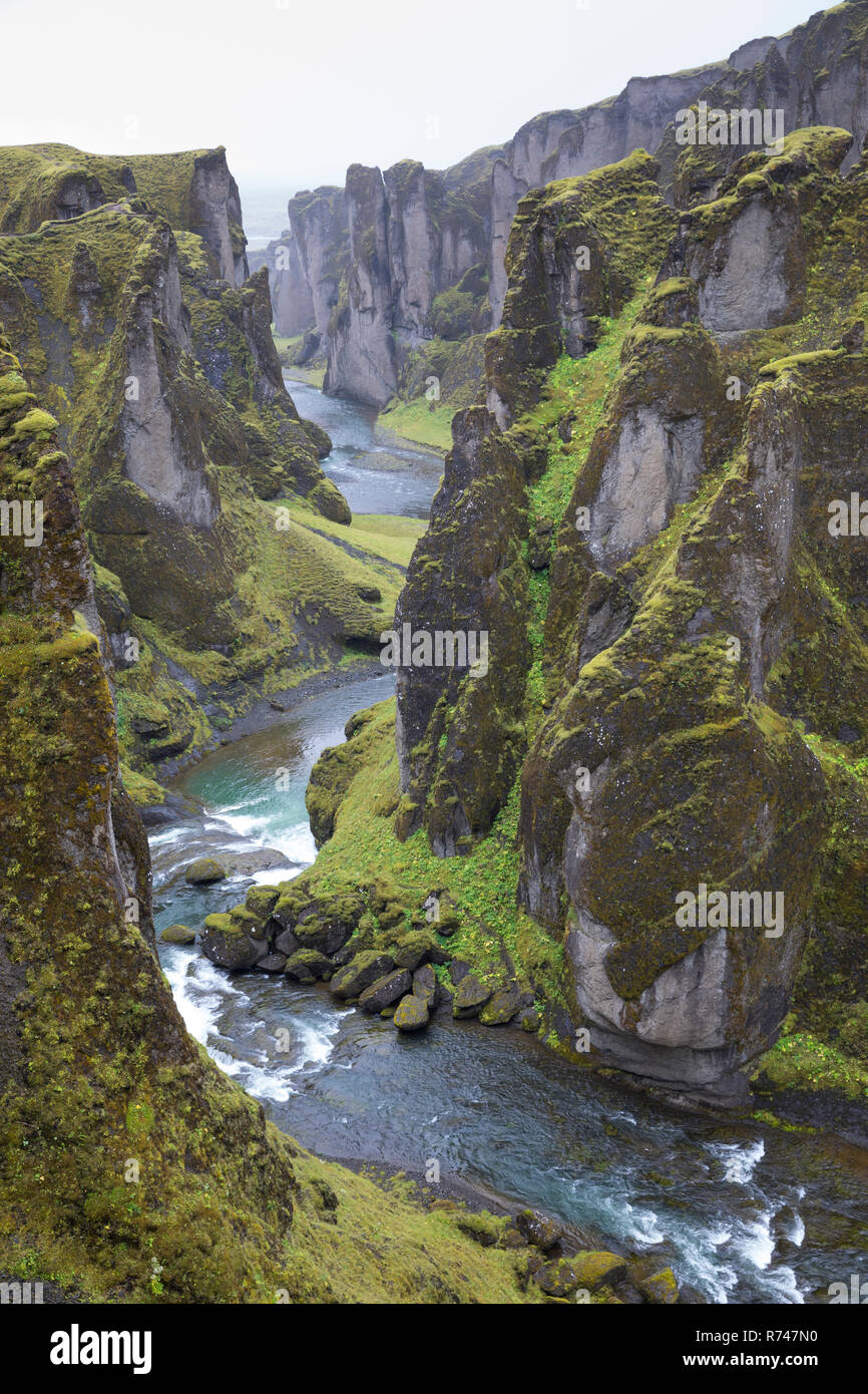 - Schlucht Fjaðrárgljúfur, Fjathrargljufur-Schlucht, Schlucht, Canyon im Süden von Island, durch die Schlucht fliesst der namensgebende Fluss Fjaðrá, können Stockfoto