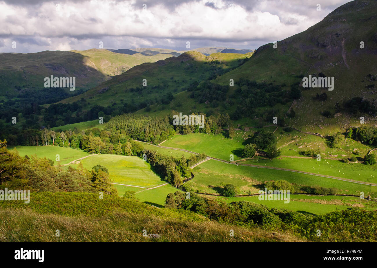 Schafe grasen neben dem Grisedale Beck Fluss im Tal von grisedale in England Lake District. Stockfoto