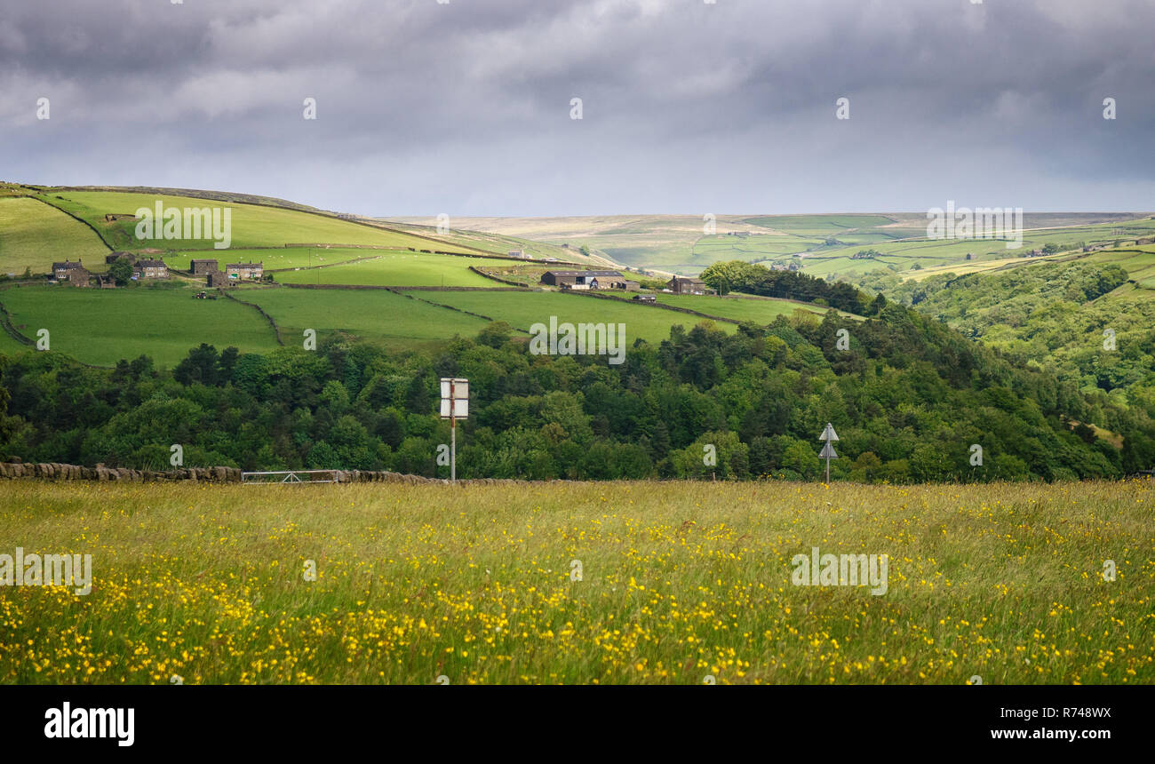 Landwirtschaftlich genutzten Feldern und Moorland oberhalb Heptonstall in der südlichen Pennines Hochland Region von England. Stockfoto