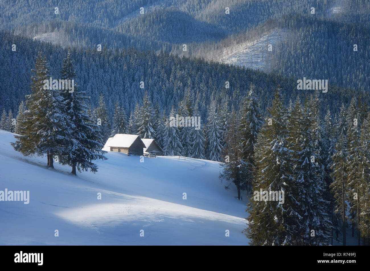Verschneite Hütte. Winter im Bergwald sonnigen Tag. Weihnachten Landschaft. Karpaten, Ukraine, Europa Stockfoto