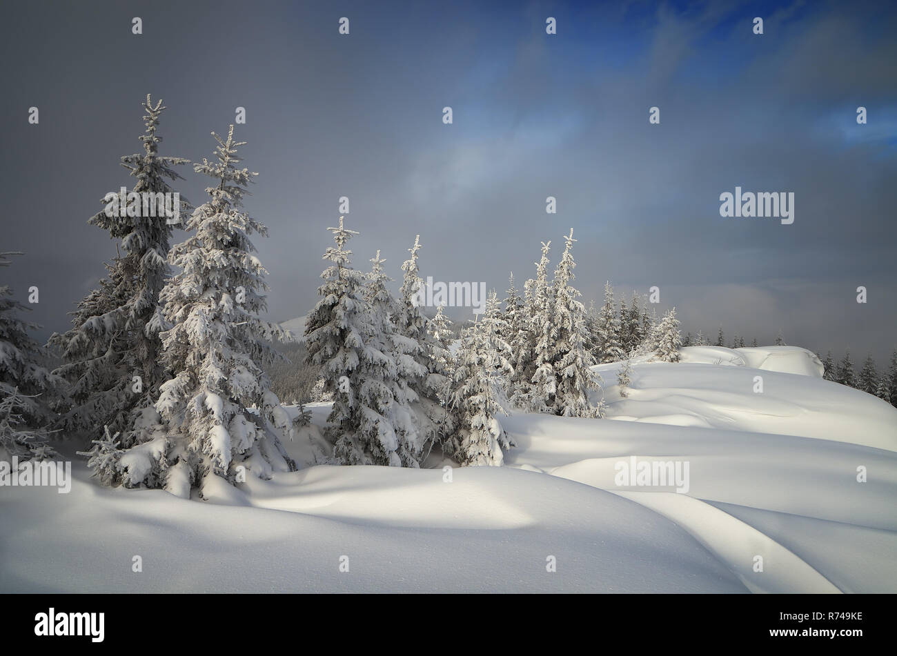 Weihnachten Landschaft. Schneeverwehungen im Bergwald Stockfoto