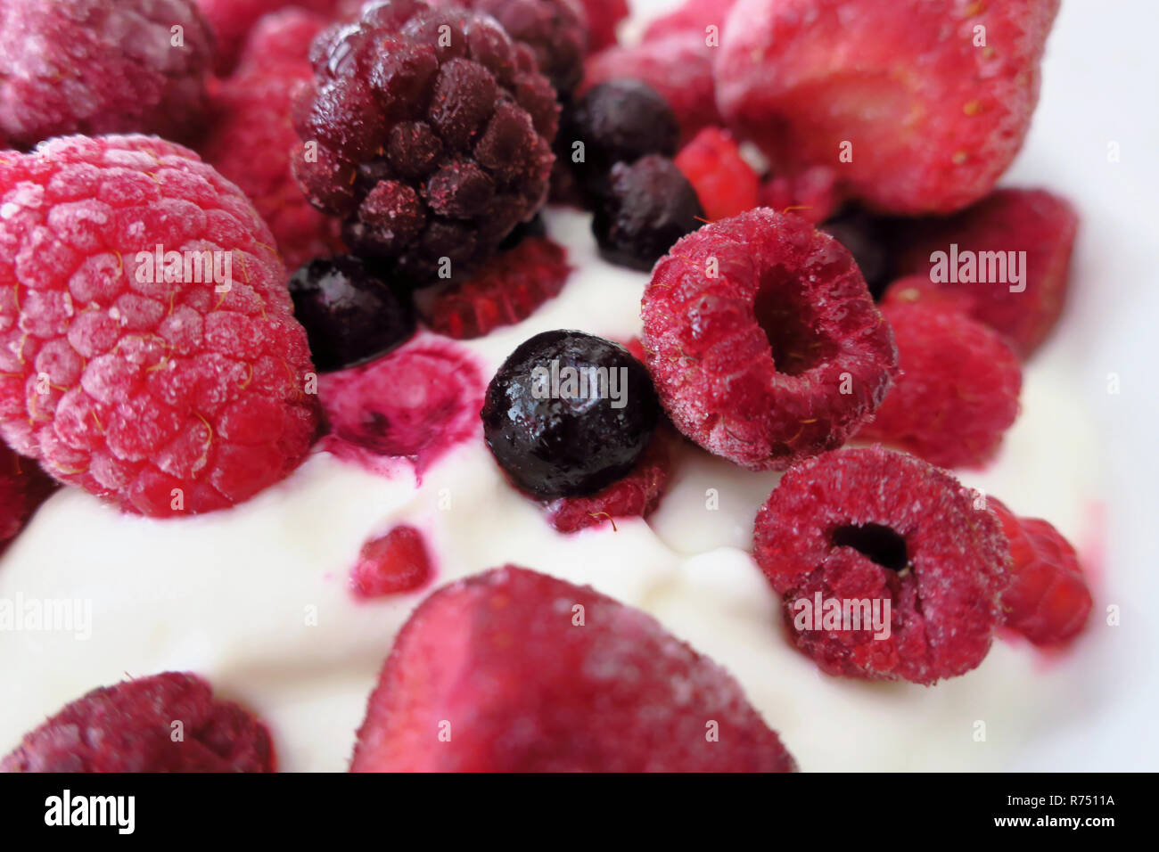 Eine Gruppe von gefrorenen Beeren (Himbeeren, Brombeeren, Blaubeeren und Erdbeeren) auf yoogurt. Stockfoto
