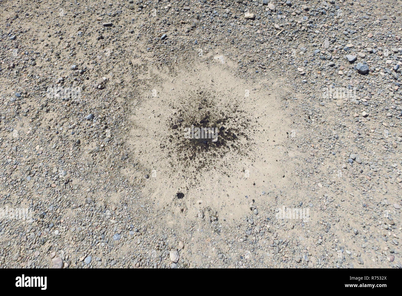 Ein Spot von Öl auf dem Boden. Stockfoto