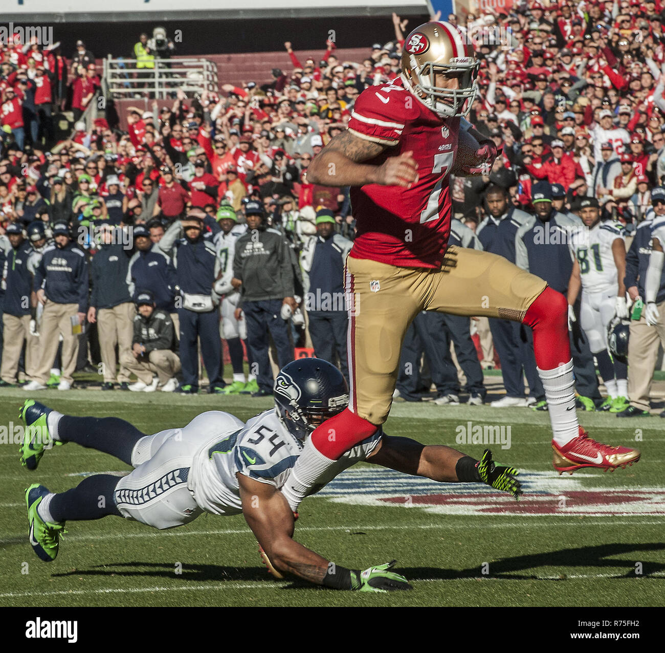 San Francisco, Kalifornien, USA. 8 Dez, 2013. San Francisco 49ers quarterback Colin Kaepernick (7) hält die Kugel aber wird von Seattle Seahawks middle linebacker Bobby Wagner (54) am Sonntag, 8. Dezember 2013 in San Francisco, Kalifornien in Angriff genommen. Die 49ers besiegten die Seahawks. 19-17. Credit: Al Golub/ZUMA Draht/Alamy leben Nachrichten Stockfoto