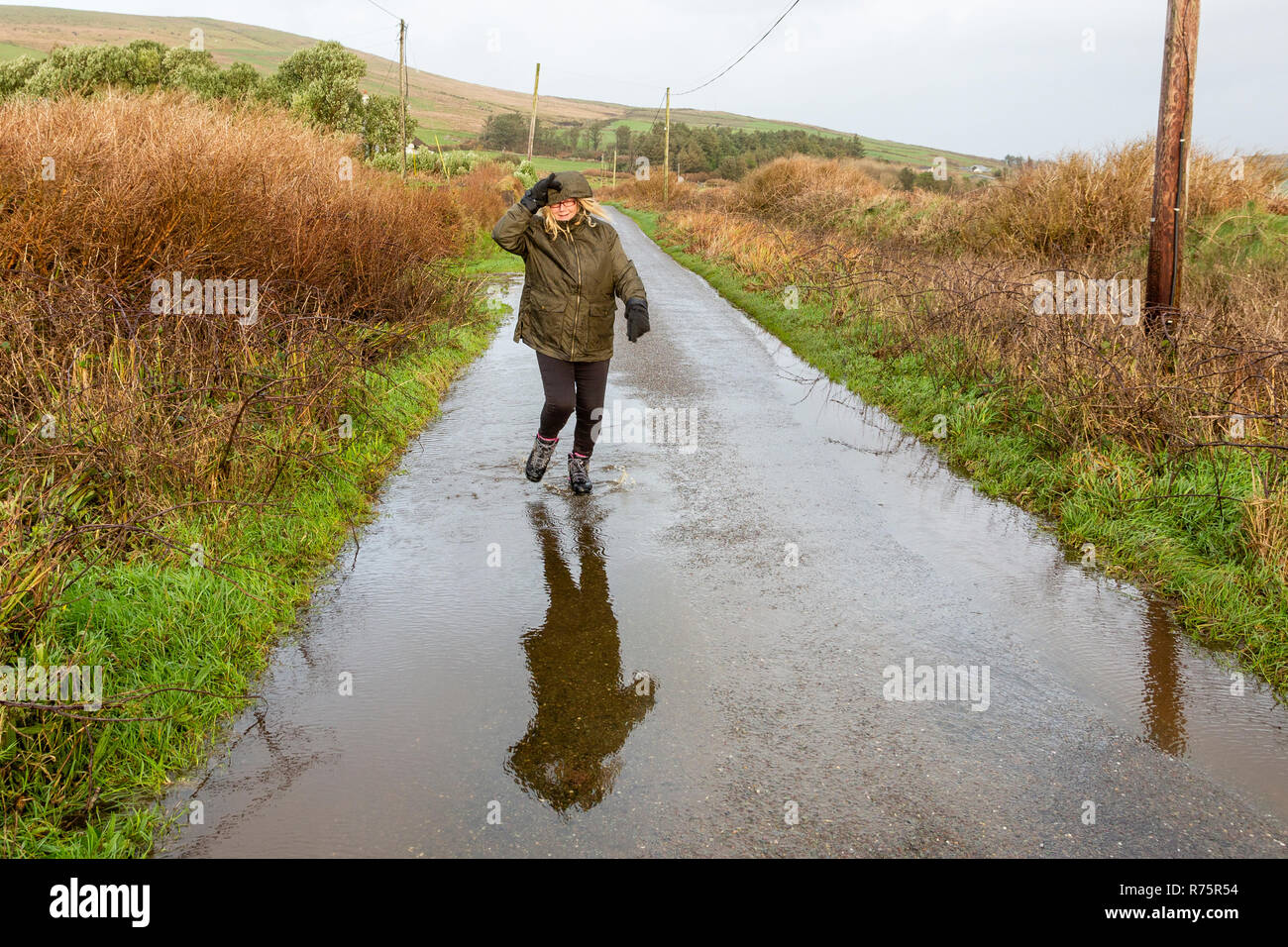 Frau Spritzen in Pfütze bei starkem Wind auf Grafschaft Lane im County Kerry Irland Stockfoto