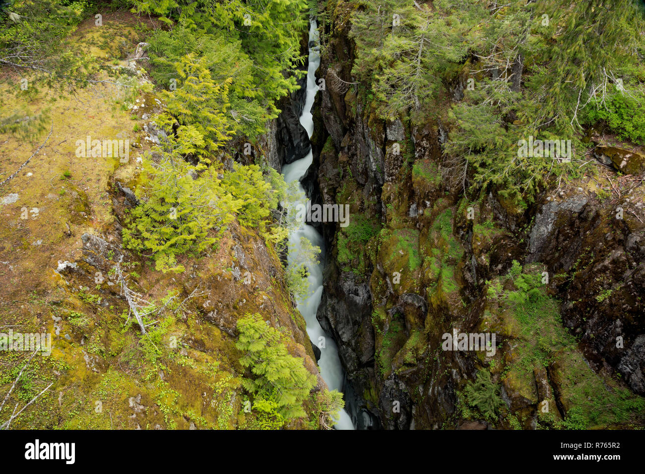 WA 15471-00 ... WASHINGTON - der Cowlitz River durch Box Canyon im Mount Rainier National Park fließen. Stockfoto