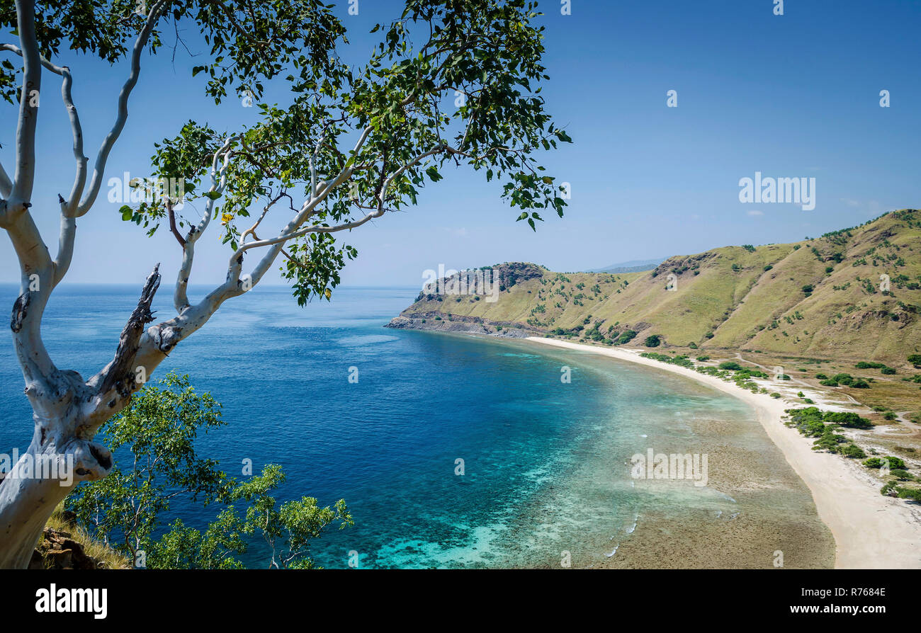 Küste und Strand in der Nähe von Dili in Osttimor Timor-Leste Stockfoto